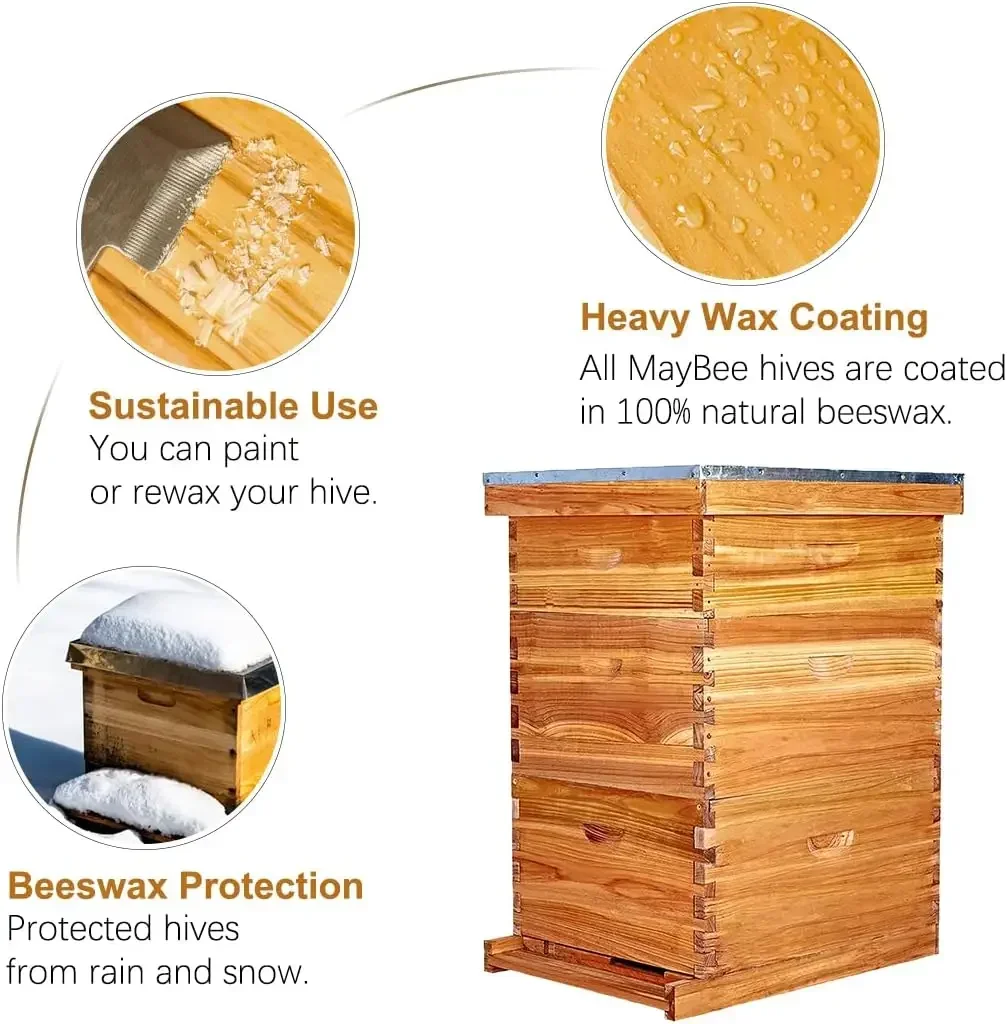 Outdoor Furniture Prices - [Discounted Price, Hot Sale!]10-Frame Langstroth Beehive
