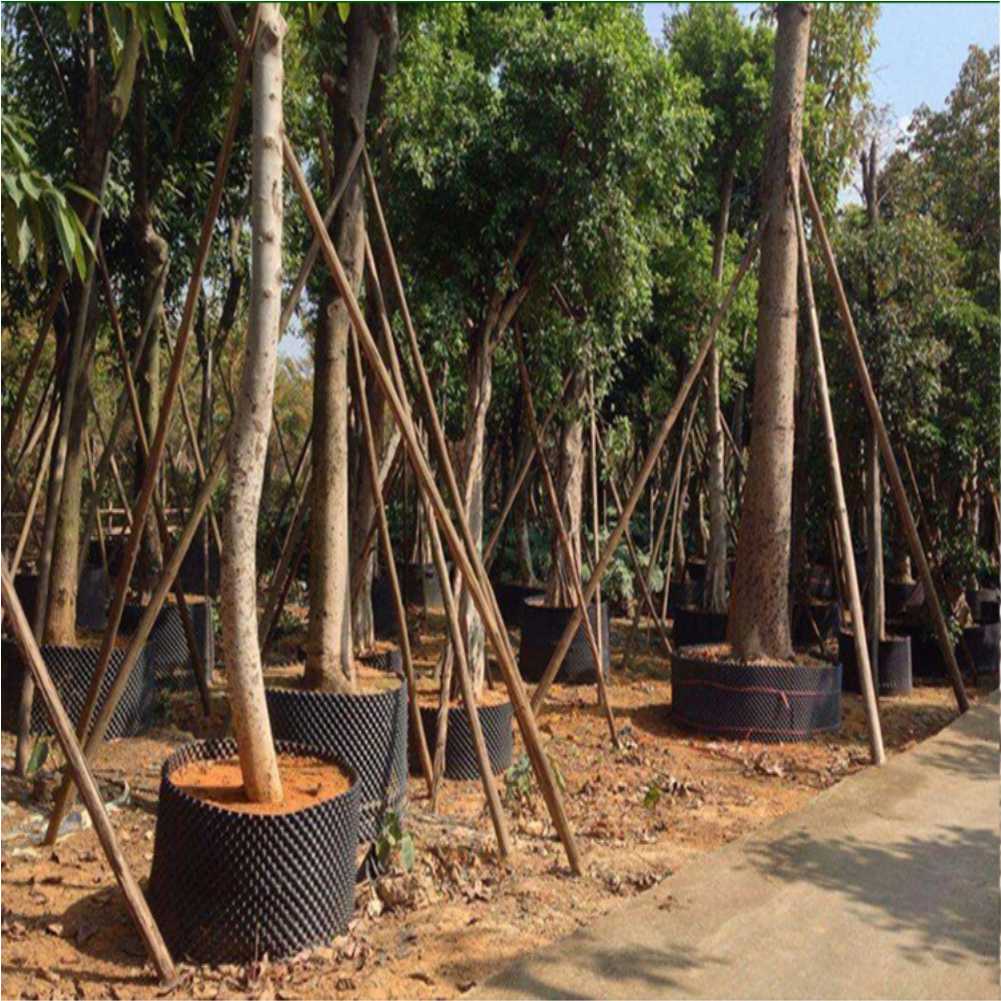 Grow Container Garden Tree Bon - Outdoor Furniture Set avis et prix