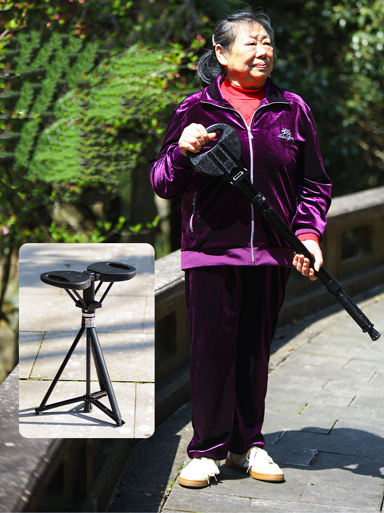 Multifunctional Walking Stick  - Outdoor Furniture Set avis et prix